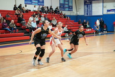 Enlarge photo 610