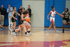 Enlarge photo 62