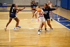 Enlarge photo 155