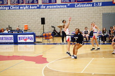 Enlarge photo 289