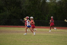 Enlarge photo 62