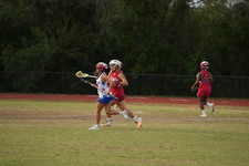 Enlarge photo 63