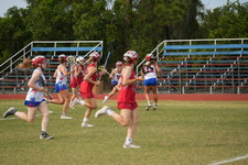Enlarge photo 111