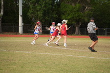 Enlarge photo 124