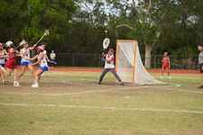 Enlarge photo 144