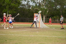 Enlarge photo 146