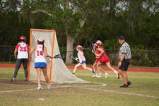 Enlarge photo 152