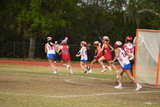Enlarge photo 154
