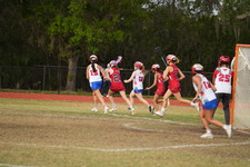Enlarge photo 155
