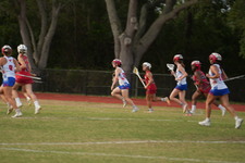 Enlarge photo 169