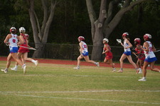 Enlarge photo 171
