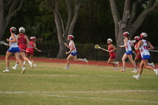 Enlarge photo 174