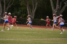 Enlarge photo 175