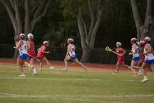 Enlarge photo 176
