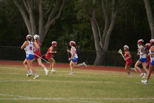 Enlarge photo 177