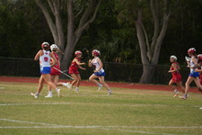 Enlarge photo 178