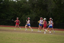Enlarge photo 183