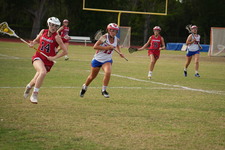 Enlarge photo 226
