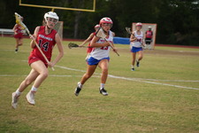 Enlarge photo 230