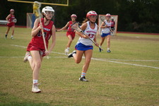 Enlarge photo 231