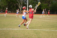 Enlarge photo 239