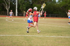 Enlarge photo 240