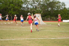 Enlarge photo 243