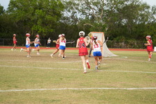 Enlarge photo 245