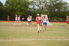 Enlarge photo 246