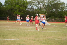 Enlarge photo 247