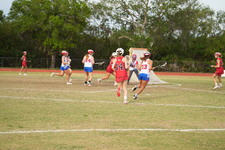 Enlarge photo 249