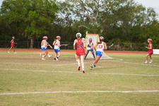 Enlarge photo 248