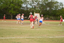 Enlarge photo 251