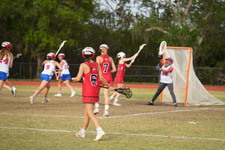 Enlarge photo 257
