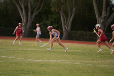 Enlarge photo 296