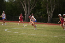 Enlarge photo 299