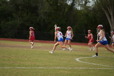 Enlarge photo 306