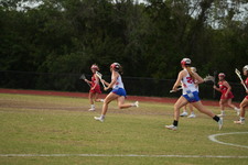 Enlarge photo 309