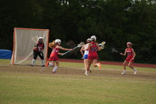 Enlarge photo 312