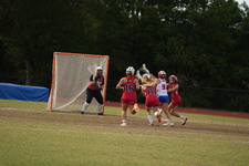 Enlarge photo 315