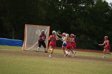 Enlarge photo 318