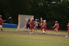 Enlarge photo 322