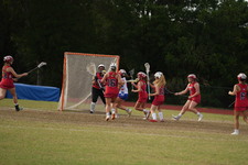 Enlarge photo 323