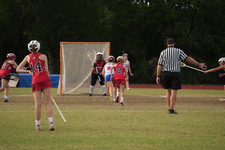 Enlarge photo 336