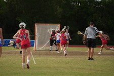 Enlarge photo 340