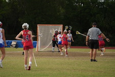 Enlarge photo 341