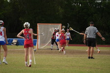 Enlarge photo 342