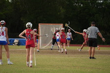 Enlarge photo 343