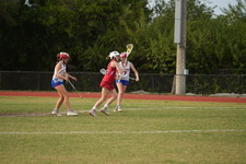 Enlarge photo 395