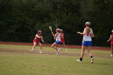Enlarge photo 396